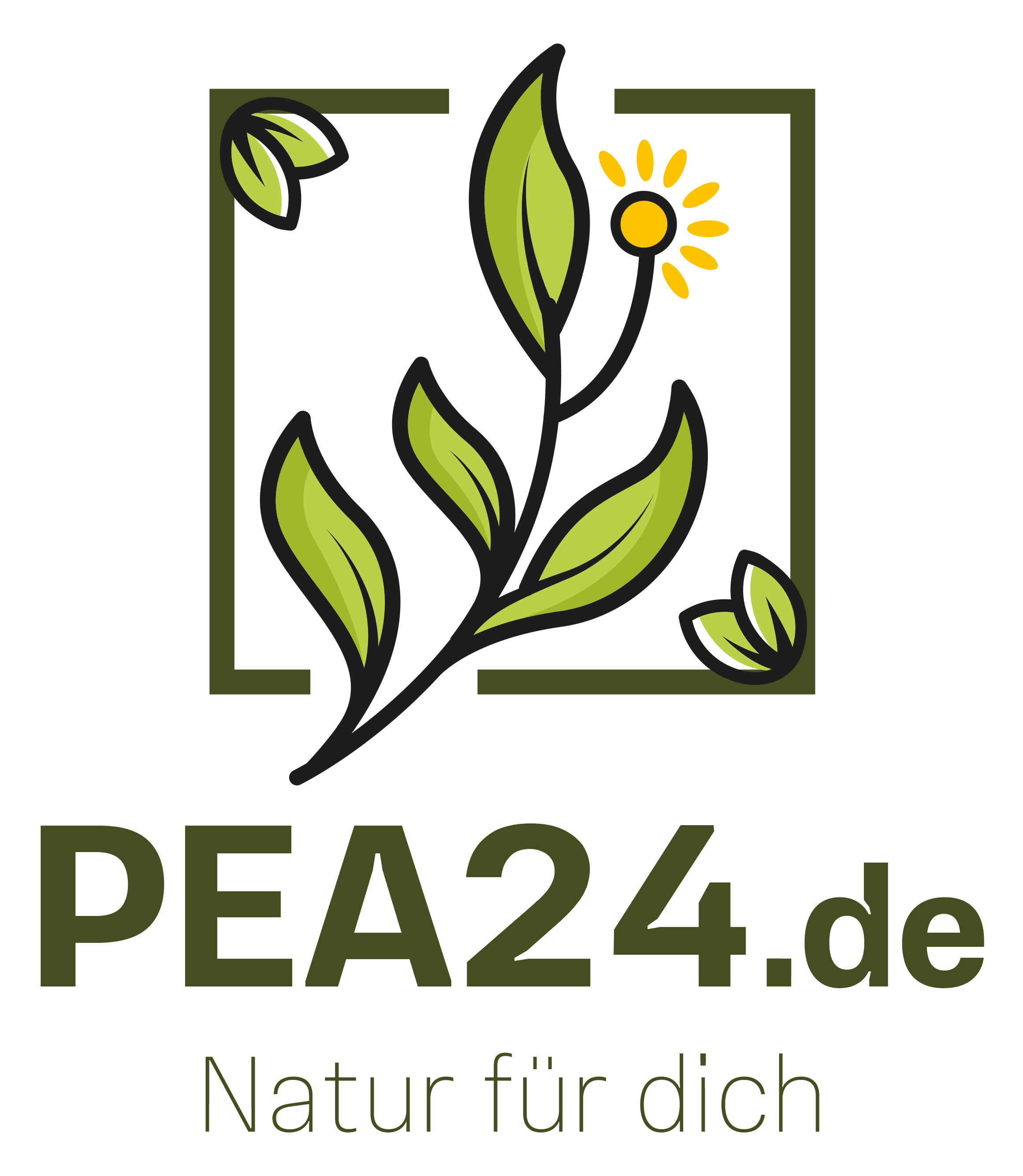PEA24 HW
